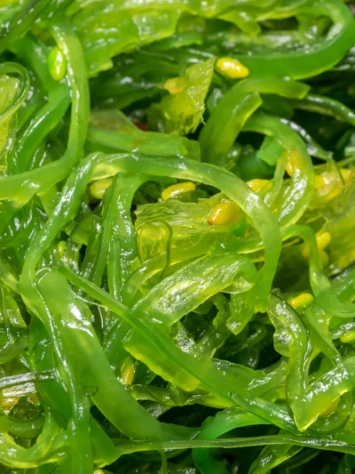 Seaweed