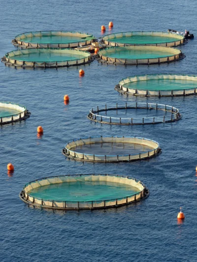 Aquaculture Products